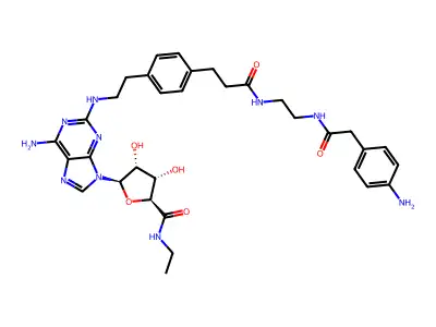 Papa-apec structure