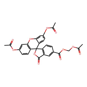 Cfda-AM structure