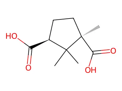 1,2,2-Trimethyl-1,3-cyclopentanedicarboxylic acid structure