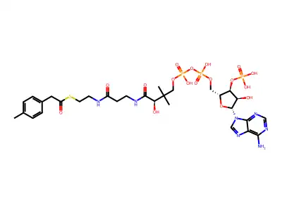 4-Tolylacetyl-coenzyme A structure