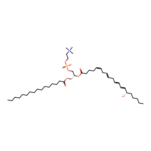 1-Palmitoyl-2-(15-hydroxy-5,8,11,13-eicosatetraenoyl)-glycero-3-phosphocholine structure