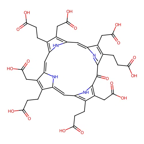 Hydroxyuroporphyrin I structure