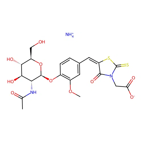 Vra-glcnac structure