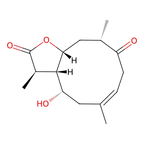 Z 1796 structure