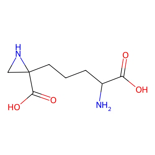 2-(4-Amino-4-carboxybutyl)-2-aziridinecarboxylic acid structure
