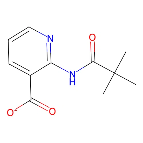 2-(2,2-Dimethylpropanoylamino)pyridine-3-carboxylate structure
