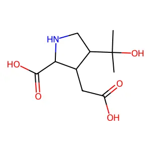 1'-Hydroxykainic acid structure