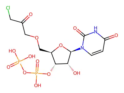 Uridine 5'-diphosphate chloroacetol structure