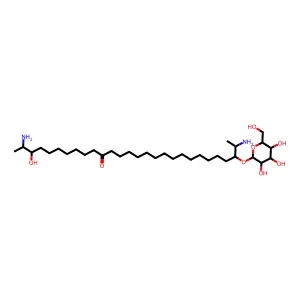 Rhizochaline structure