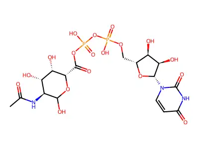 Udp-2-acetamido-2-deoxygalacturonic acid structure