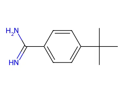 4-tert-Butyl-benzamidine structure