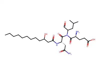 1656B structure