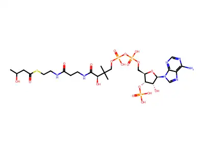 3-Hydroxybutyryl-coa structure