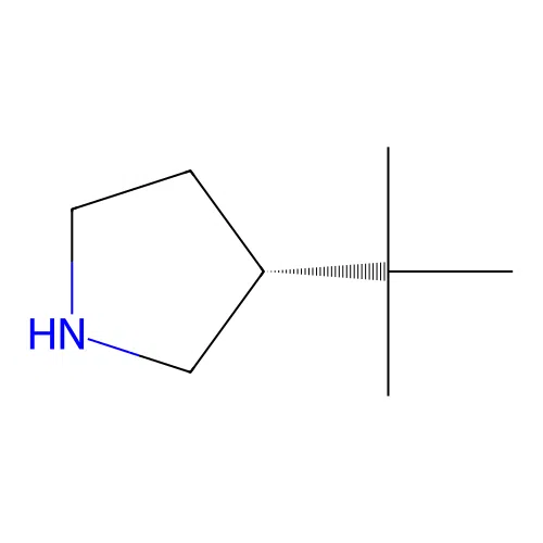 (R)-3-(tert-Butyl)pyrrolidine structure
