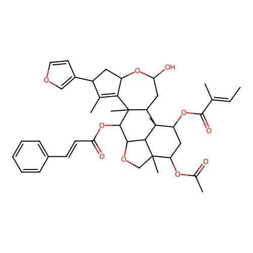 Nimbilin structure