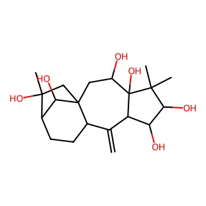 rhodomollein I structure