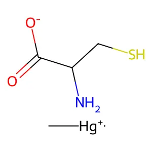 Methylmercury cysteine structure