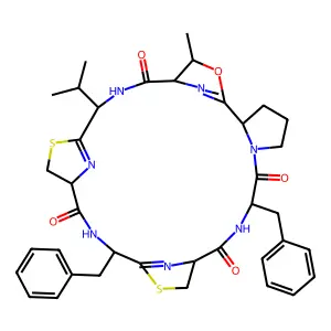 (2s)-2-Tert-butylbicyclo[2.2.1]heptane structure