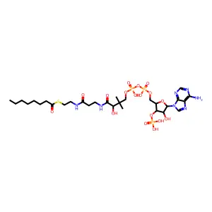 capryloyl-CoA structure