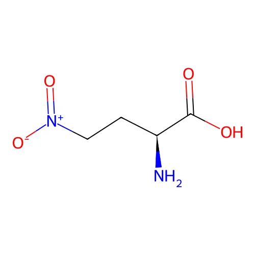 4-Nitro-2-aminobutyric acid structure