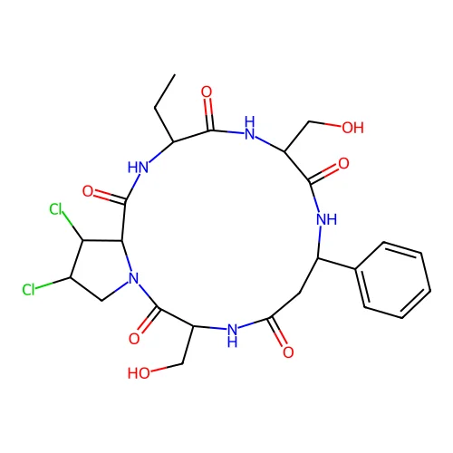 Chloropeptide structure
