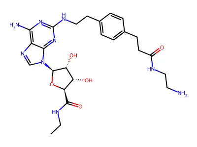 APEC structure