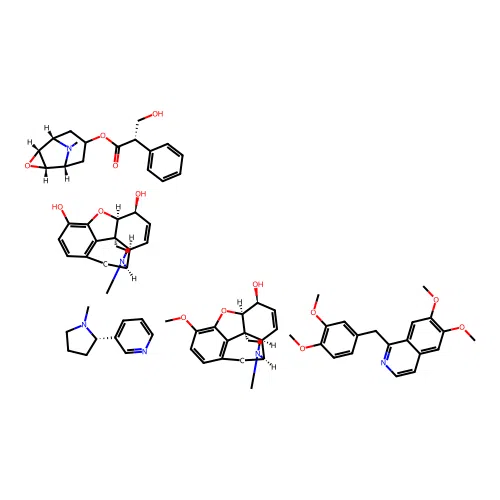 Omnopon-scopolamine structure