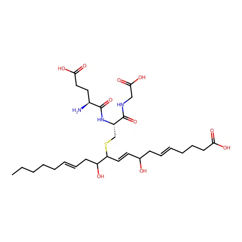 11-Glutathionylhepoxilin A3 structure