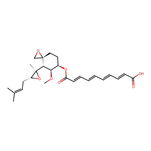 Fumagillin structure
