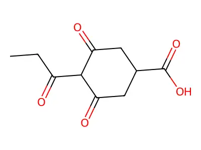 Regalis structure