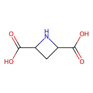 Azetidine-2,4-dicarboxylic acid structure