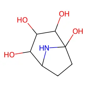 Calystegine B2 structure