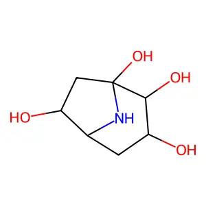 8-Azabicyclo[3.2.1]octane-1,2,3,6-tetraol structure