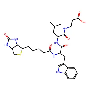 Biotinyl-tryptophyl-leucyl-beta-alanine structure