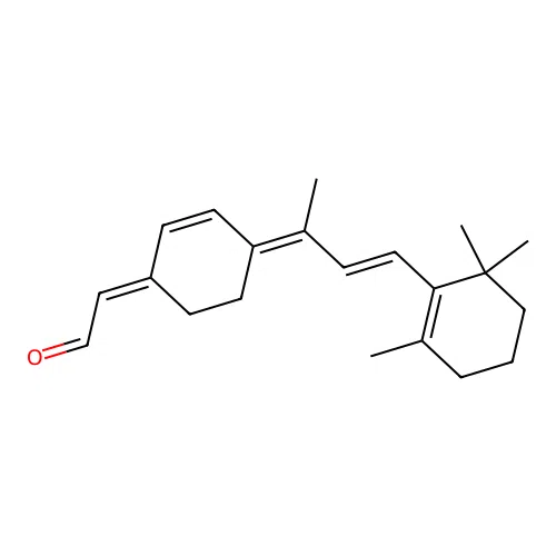 10,20-Methanoretinal structure
