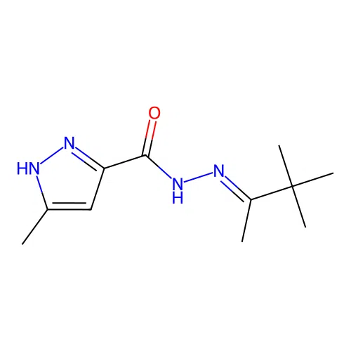 3-methyl-N'-(1,2,2-trimethylpropylidene)-1H-pyrazole-5-carbohydrazide structure
