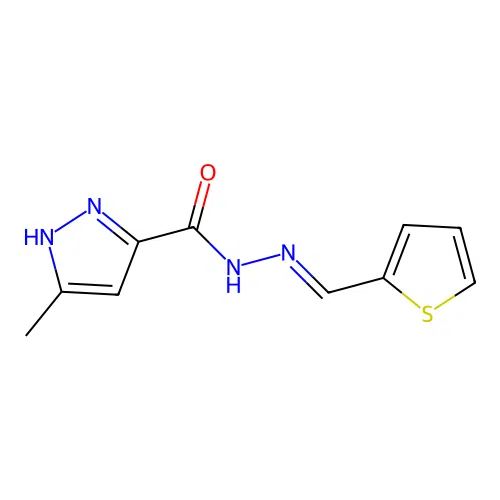 3-methyl-N'-[(E)-thiophen-2-ylmethylidene]-1H-pyrazole-5-carbohydrazide structure