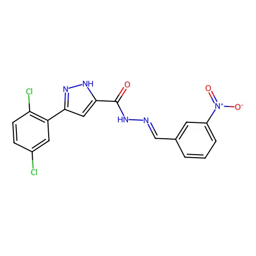 (E)-3-(2,5-dichlorophenyl)-N'-(3-nitrobenzylidene)-1H-pyrazole-5-carbohydrazide structure
