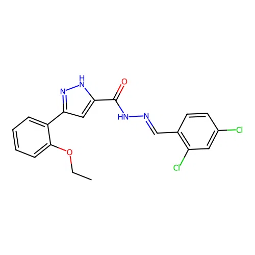N'-(2,4-dichlorobenzylidene)-3-(2-ethoxyphenyl)-1H-pyrazole-5-carbohydrazide structure