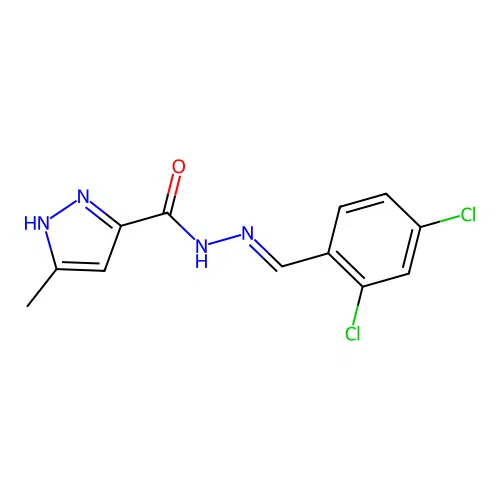 (E)-N'-(2,4-dichlorobenzylidene)-3-methyl-1H-pyrazole-5-carbohydrazide structure