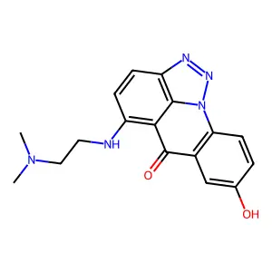 C 1303 structure