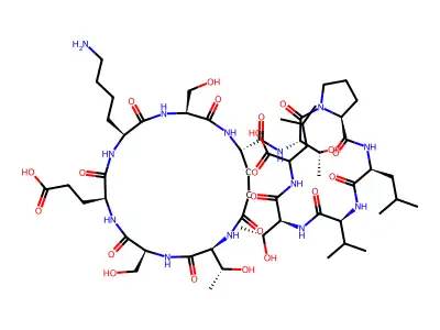 Org 31318 structure