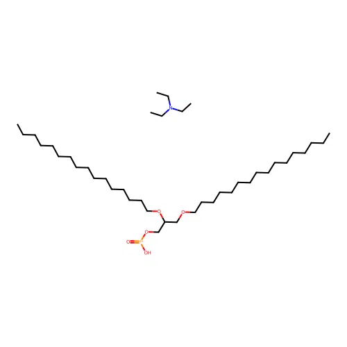 Tahgp structure