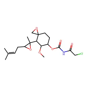 tnp 470 structure