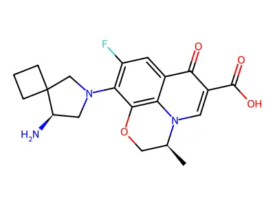 DV 7751a structure