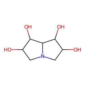 1,2,6,7-Tetrahydroxypyrrolizidine structure