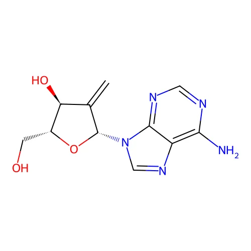 2'-Deoxy-2'-methyleneadenosine structure