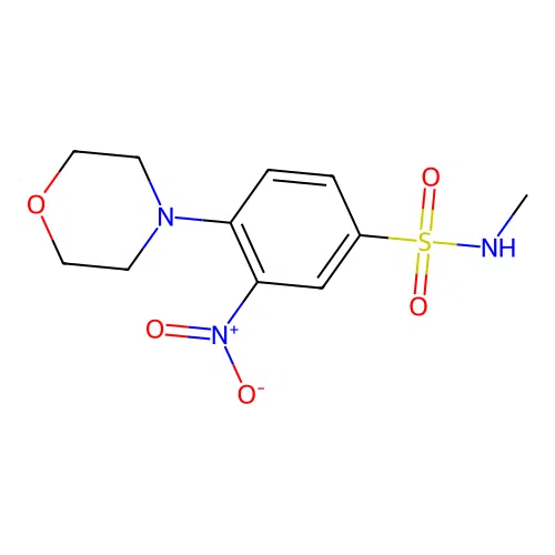 N-methyl-4-(4-morpholinyl)-3-nitrobenzenesulfonamide structure