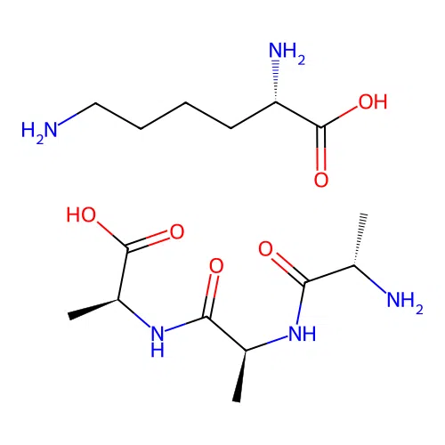 Poly(lysine(alanyl-alanyl-alanine)) structure