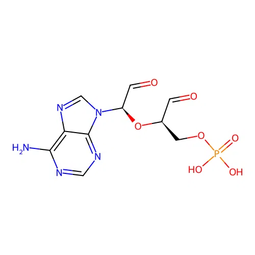 Adenosine 5'-monophosphate 2',3'-dialdehyde structure